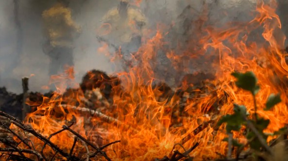 Fumaça paralisa combate aéreo de força-tarefa federal no Amazonas